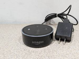lot 114 image: AMAZON ALEXA