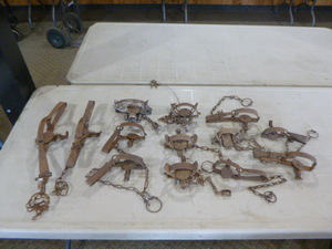 lot 117 image: 13 Animal Traps