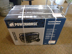 lot 160 image: New Powerhorse 4000 Watt Generator