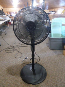 lot 221 image: Oscillating Pedestal Fan