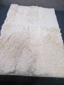 lot 100 image: 3- 16x24 inch Bath Mats...