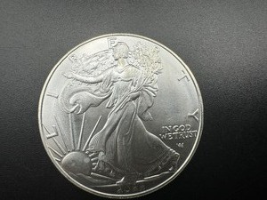 lot 14 image: 2022 BU Silver Eagle