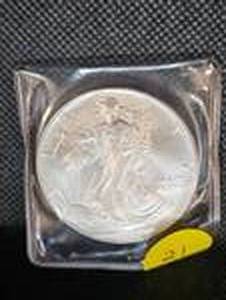lot 21 image: 1994 Silver Eagle