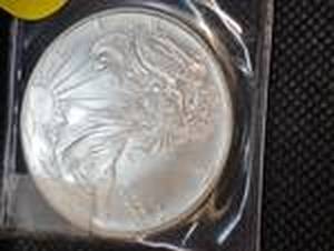 lot 22 image: 1994 Silver Eagle