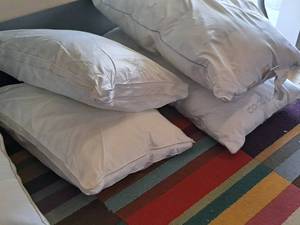 lot 201 image: Lot of (4) Assorted Pillows