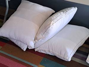 lot 202 image: Lot of (4) Assorted Pillows