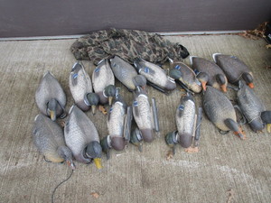 lot 37 image: Duck Decoys