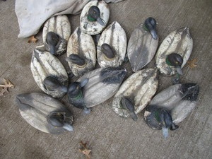 lot 50 image: Foam Duck Decoys