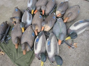 lot 49 image: Duck Decoys