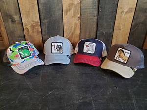 lot 138 image: Lot of 4 Never worn NEW Hats Ball Caps