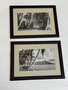 lot 2 image: Lot of (2) Framed Black and White Photos of Tropic Art
