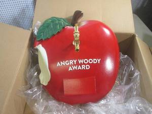 lot 73 image: (EW5) Angry Woody Award Wall Decor ...