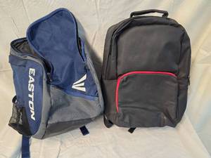 lot 79 image: (2) Laptop Backpacks