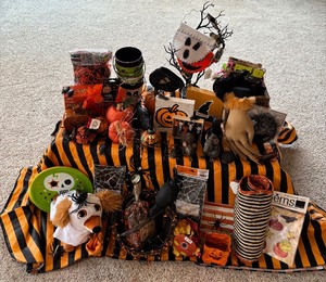 lot 139 image: Halloween Decor  Witches Hand, Roaches, Mice and More