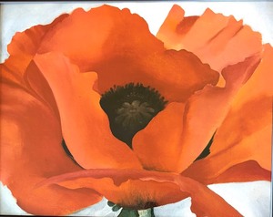 lot 130 image: Georgia OKeeffe 1887 - 1986 Red Poppy Canvas Print