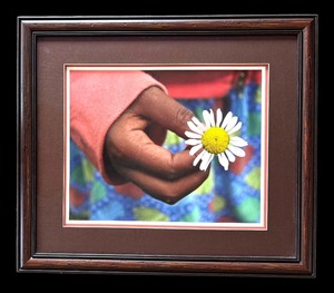 lot 125 image: Tamber Sherman 2009 Beautiful Picture of Childs Hand with Flower