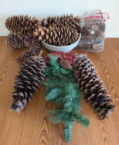lot 116 image: Large Holiday Pinecones