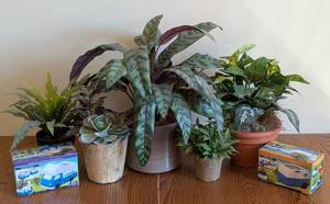 lot 81 image: Decorative Faux Plants and Pair of Small Planters