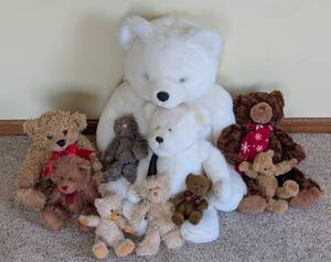 lot 68 image: Snuggly Selection of Teddy Bears