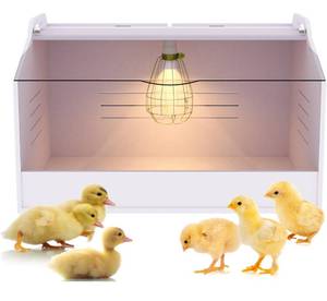 lot 56F image: Brand New Chick Brooder Box with Heat Lamp (19 X 12 X 12) $65.99 Retail N