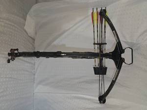 Cross bow