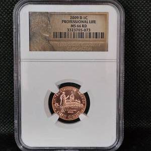 lot 7 image: 2009 D, One Cent Proffessional Life NGC MS 66 RD