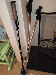 lot 115 image: Set of 3 Eddie Bauer Hiking Poles