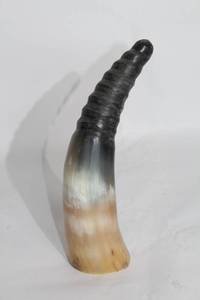 lot 164 image: Authentic Black Powder Gunpowder Horn
