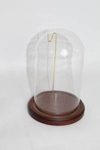 lot 253 image: Glass Display Dome with Wooden Base and Metal Hook