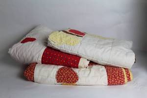 lot 367 image: Lot of 3 Hand-Crafted Child Size Quilts with Applique Designs