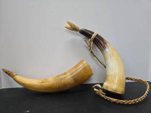 lot 256 image: 2 Vintage Genuine Powder Horns