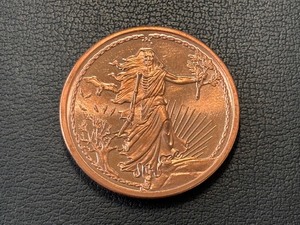 lot 31 image: 1 Ounce .999 Fine Copper Round