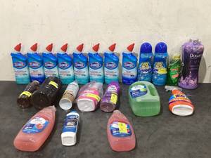 lot 646 image: LOT OF Cleaning Items