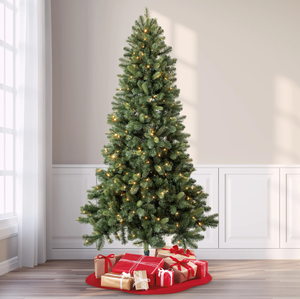 lot 501 image: Evergreen Classics 7.5ft Pre-Lit Benton Pine Artificial Christmas Tree, Color-Changing LED Lights