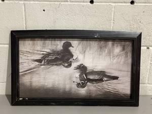 lot 563 image: Open Road Brands Duck Framed MDF Wall Art by Cole Johnson