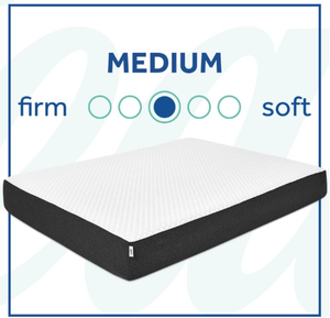 lot 365 image: Sealy Cool & Clean 10 Gel Memory Foam Mattress, Queen