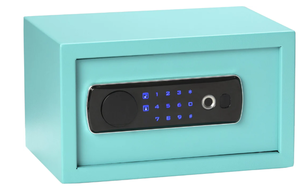 lot 682 image: Duo LEDBiometric Digital Pistol Vaults