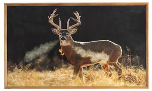 lot 683 image: Open Road Brands Deer in Field Framed Wood Wall Art by Lance Krueger, Measures 24 x 40