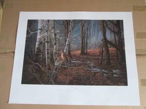 lot 16 image: Signed and numbered pheasant print...