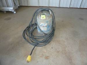 lot 62 image: Isumri Sump Pump