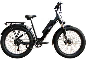 lot 208 image: Excel Electric Bike Big Ticket Black