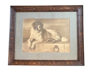 lot 242 image: Vintage Newfoundland Portrait Wooden Framed Print