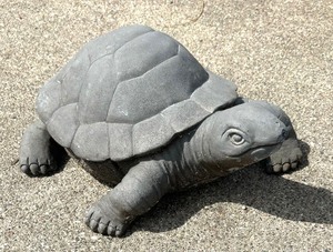 lot 530 image: Adorable Turtle Decor