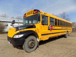 2006 International Bus
