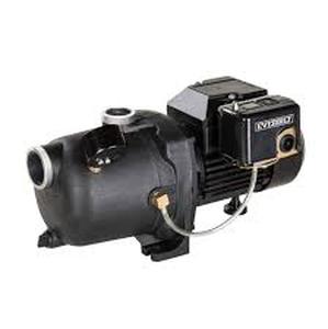 lot 16 image: Everbilt 12 HP Shallow Well Jet Pump Customer Returns See Pictures