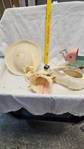 lot 86 image: Bunny Planter, Vintage Hat and Bonnet, Tin Toy Buggy