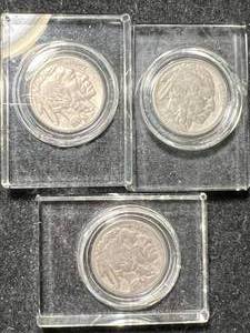 lot 68 image: 3 US BUFFALO NICKELS IN GLASS CASES