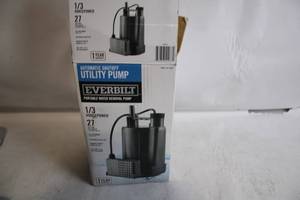 lot A-56 image: Everbilt 13 HP Portable Utility Water Removal Pump