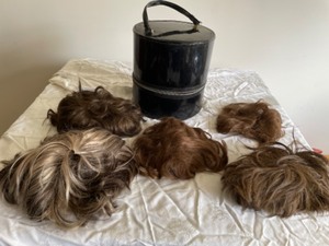 lot 103 image: Five Wigs With a Carry Case