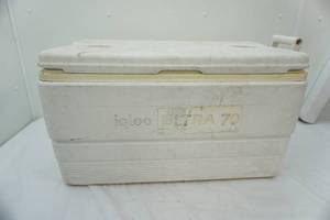 lot 206 image: igloo cooler